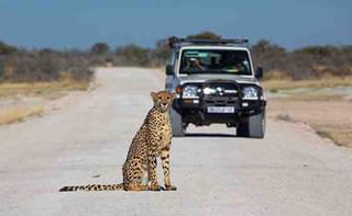 Africa Namibia Game Trails Self Drive