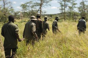 After Detecting A Freshly Laid Snare Line Desnaring Unit 1 Track The Poachers To Try And Find Their Camp Zanne Labuschagne Fzs 12 Scaled 500X400