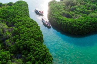 Al Qandal Farasan Island Saudi Al Qandal Farasan Island Saudi