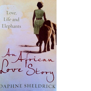 An African Love Story An African Love Story