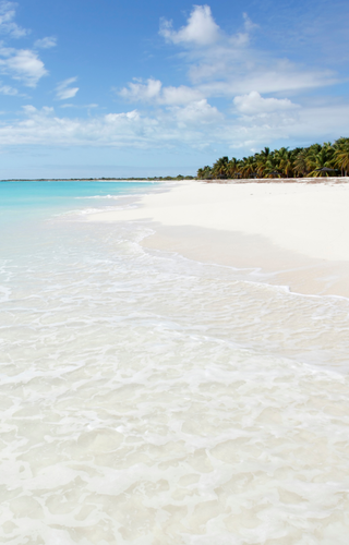 Beautiful beach scene in Antigua and Barbuda Canva Pro