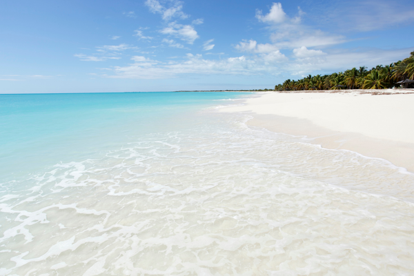 Beautiful beach scene in Antigua and Barbuda Canva Pro Beautiful beach scene in Antigua and Barbuda Canva Pro