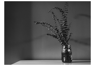 B W1 B W1