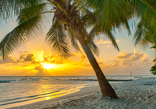Barbados 2 Barbados 2