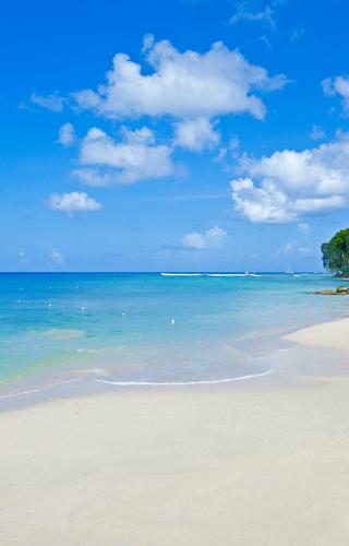 Beach The Sandpiper Barbados Caribbean Hummingbird DMC