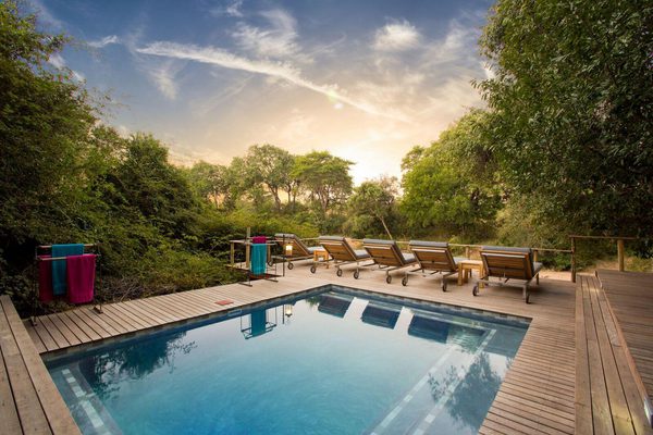Bateleur Main Camp Pool Bateleur Main Camp Pool