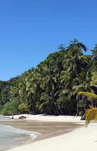 Coiba Island Panama min