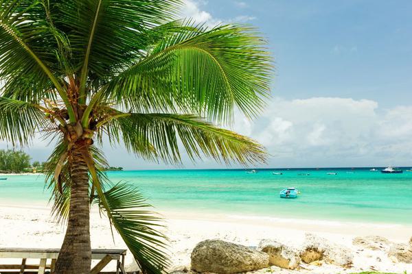 Oistins Barbados Oistins Barbados