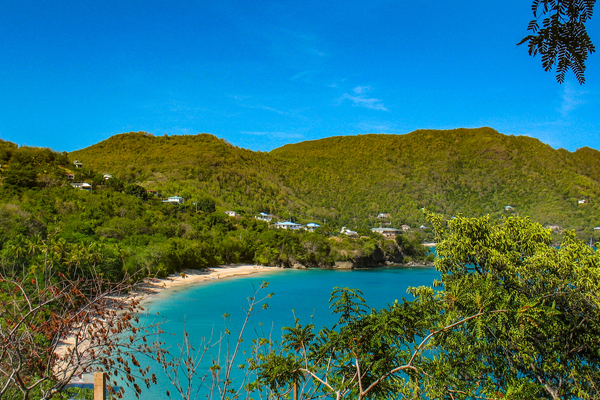 Bequia canva pro Bequia canva pro