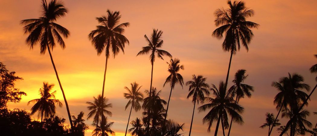 Borneo sunset