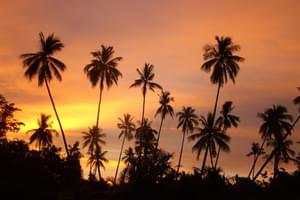 Borneo sunset