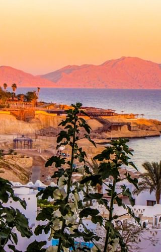 Sunset over coastline Sharm El Sheik Egypt