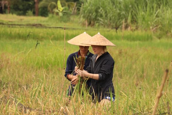 Luang Prang Laos Luang Prang Laos