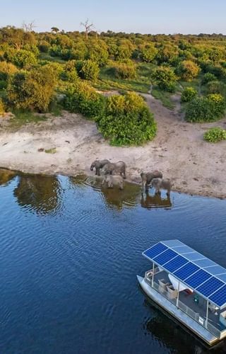 Chobe Game Lodge River Safari 02