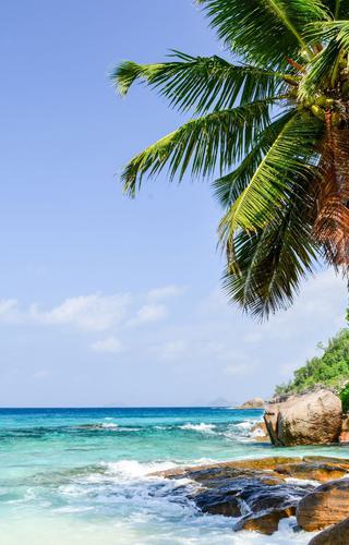 Morne Seychelles National Park Seychelles Canva Pro