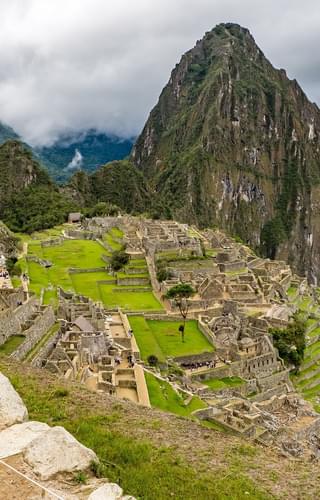 Peru llama Machu Picchu