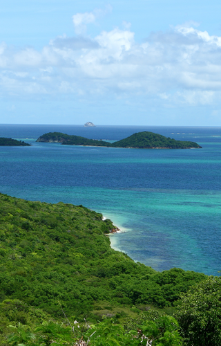 Tobago Cays St Vincent and the grenadines Caribbean canva pro