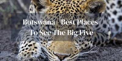 Big Five Botswana