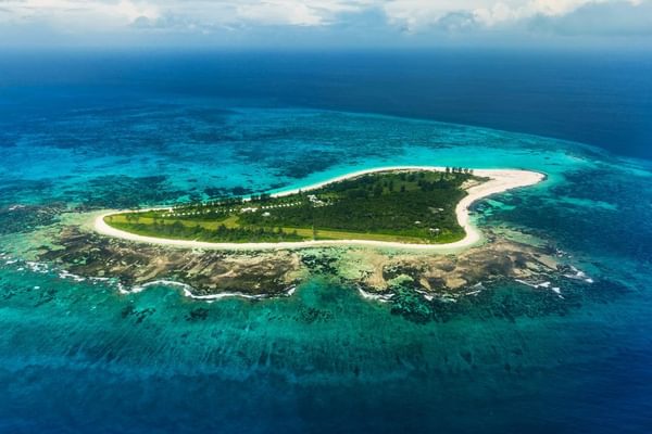 Bird Island Island Bird Island Island