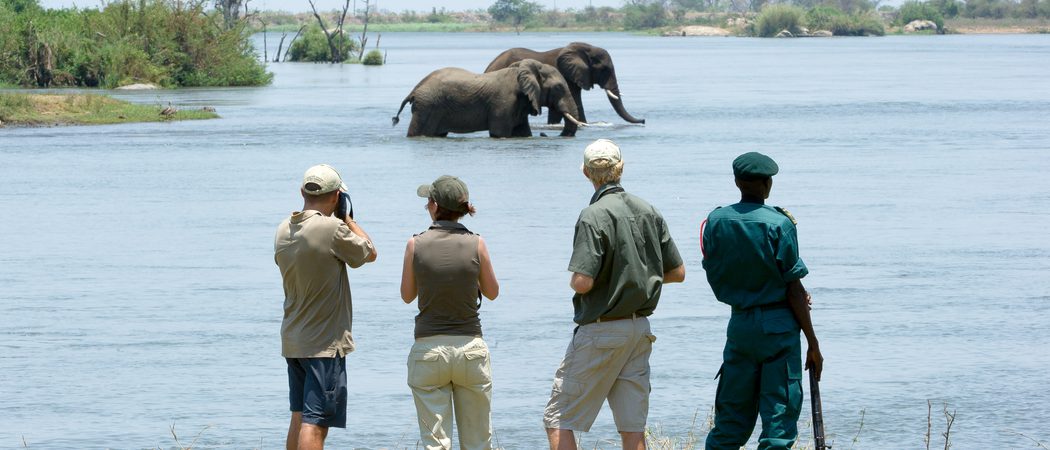 Majete  Walking  Safari