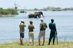 Majete  Walking  Safari