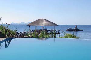 Blue  Zebra  Island Swimming Pool