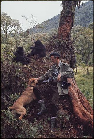 Bob Campbell Photographer Bob Campbell Photographer