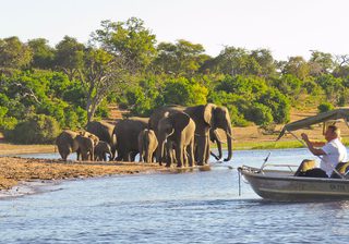 Botswana Chobe - Christian Hertel