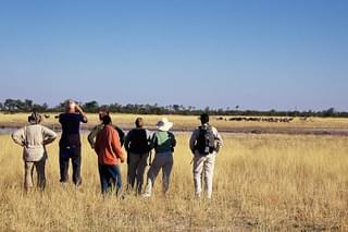 Botswana Okavango Delta Group On Guided Walk