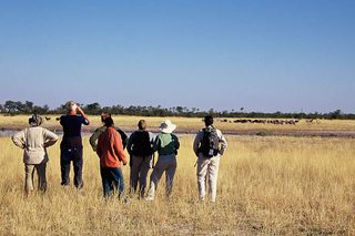 Botswana Okavango Delta Group On Guided Walk Botswana Okavango Delta Group On Guided Walk