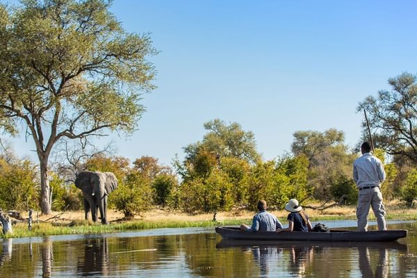 Machabasafaris l Elephant river safari Botswana Machabasafaris l Elephant river safari Botswana