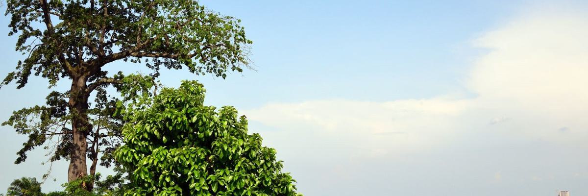 Congo River Brazzaville Canva Pro Congo River Brazzaville Canva Pro