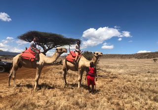 Camel Trek 2