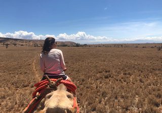 Camel Trek