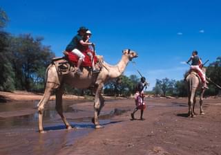 Camel Safari Kenya