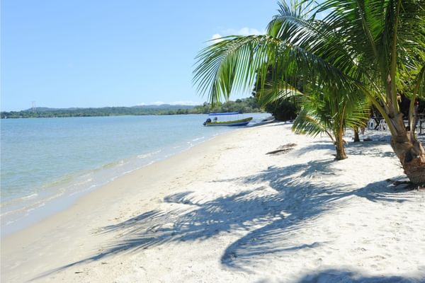 Playa Blanca near Livingston in the Caribbean Guatemala Playa Blanca near Livingston in the Caribbean Guatemala