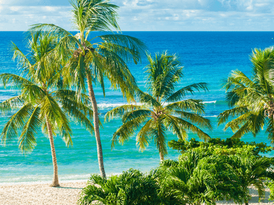Caribbean Caribbean