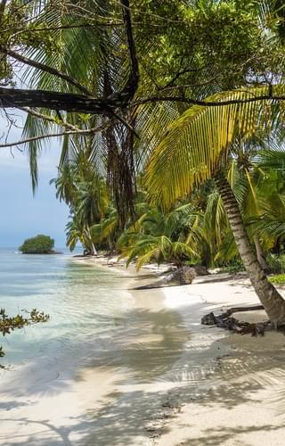 Beach San Blas Islands Caribbean Coast Panama