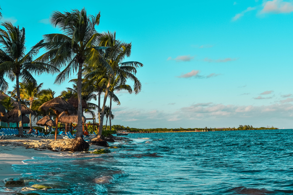 Caribbean canva pro Caribbean canva pro