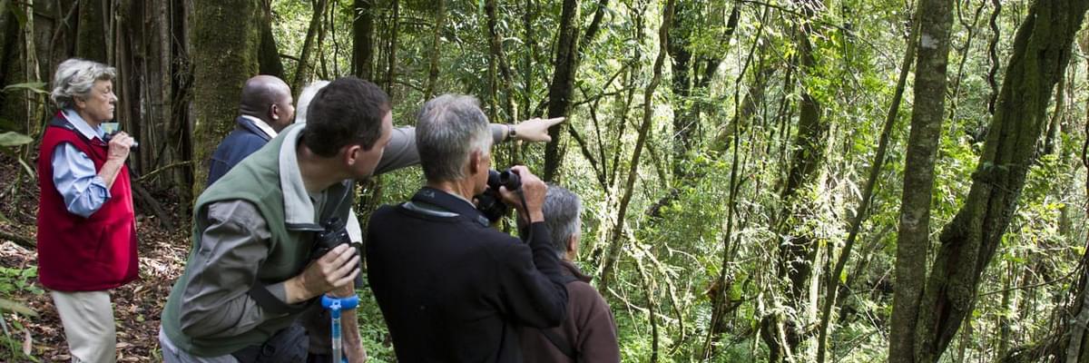 Chelinda  Lodge  Nyika  Trails Chelinda  Lodge  Nyika  Trails