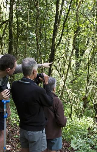 Chelinda  Lodge  Nyika  Trails