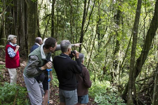 Walking the Nyika Trails from Chelinda Lodge Walking the Nyika Trails from Chelinda Lodge