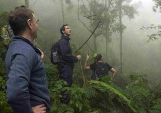 Chimp Trekking Thomson Chimp Trekking Thomson