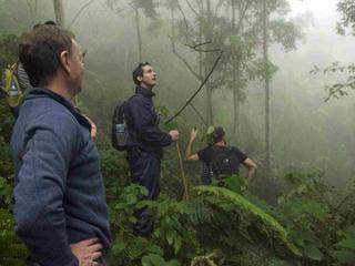Chimp Trekking Thomson Chimp Trekking Thomson
