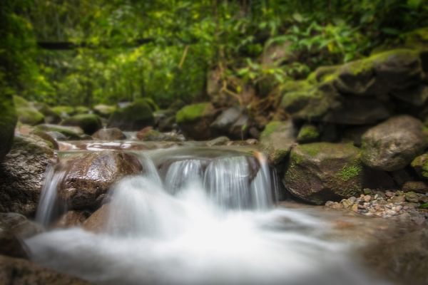 Waterfall rainforest panama Waterfall rainforest panama