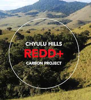 Chyulu Hill Redd Project