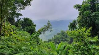 Colombia jungle min