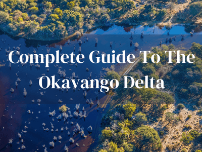 Complete Guide Okavango Delta