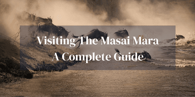 Complete Guide To Masai Mara