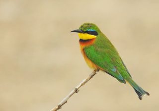 David Clode Sru8Kn 30Go Unsplash David Clode Sru8Kn 30Go Unsplash